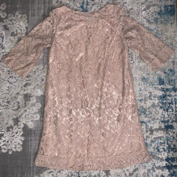 Fossil Blush 3/4 Sleeve shift lace Dress - Picture 6 of 6